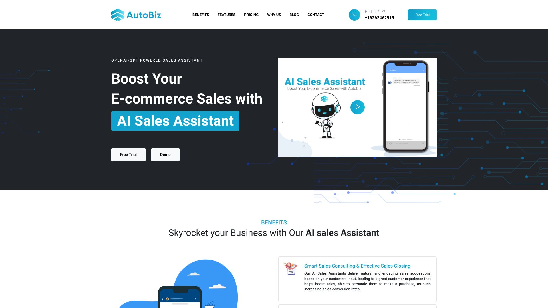 AutoBiz screenshot