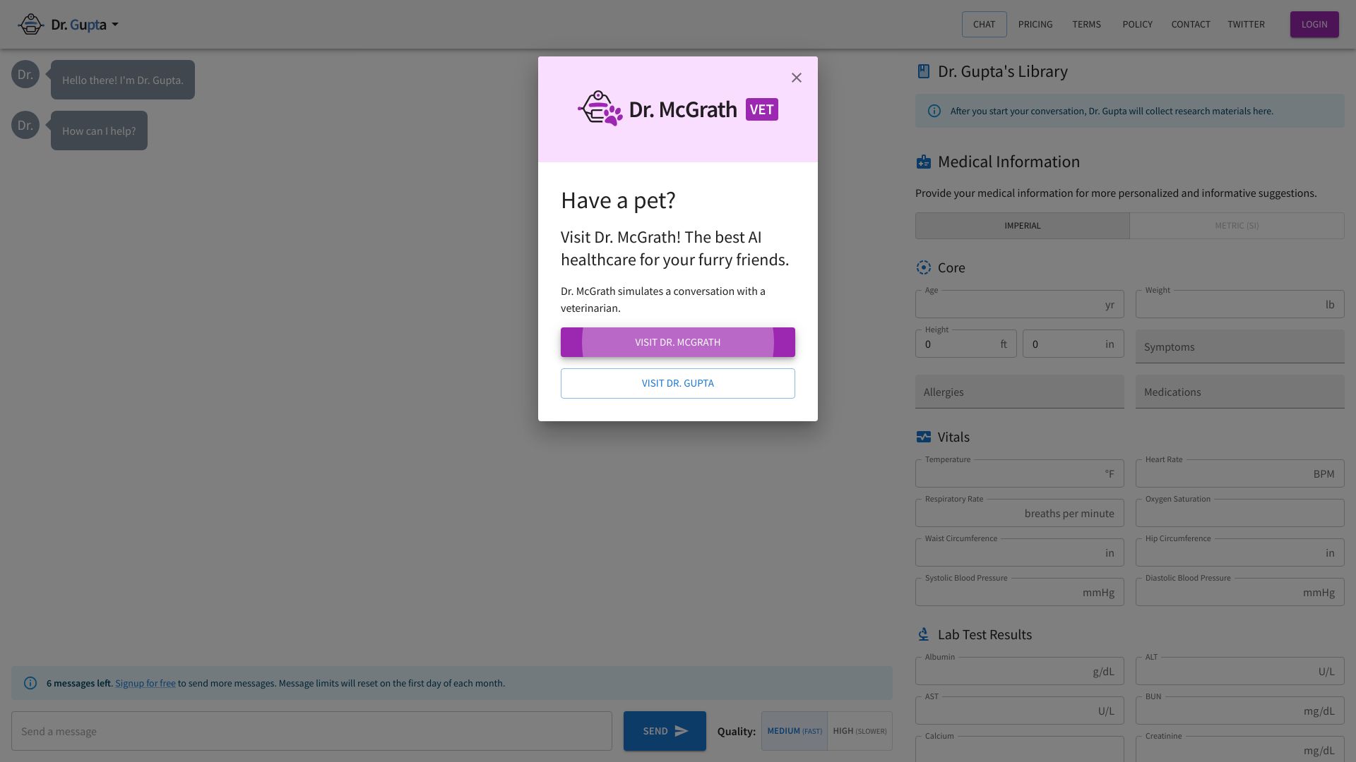 Dr. Gupta: AI Physician Chatbot screenshot