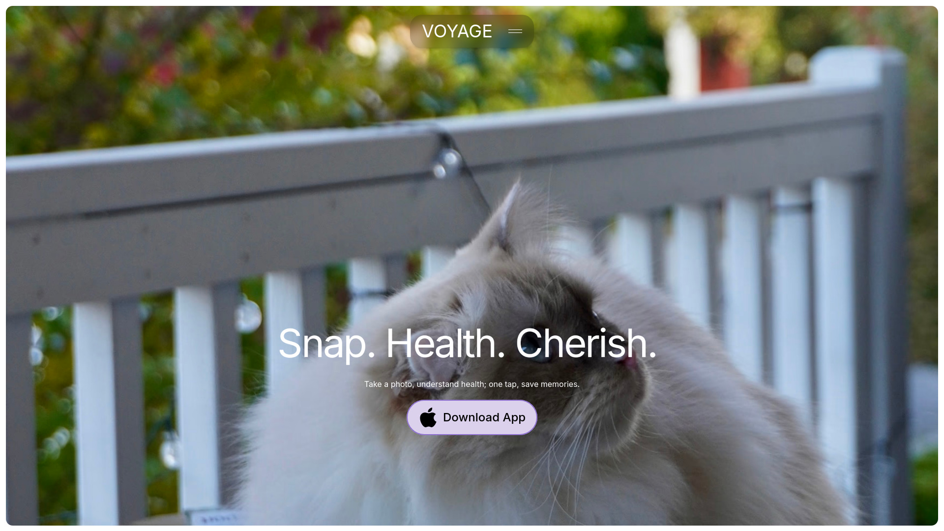 Voyage Pet AI screenshot