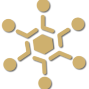 DynaRoute logo