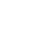Peak AI logo